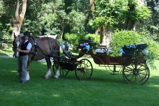 Jumenterie de La Broussardière — photo 4