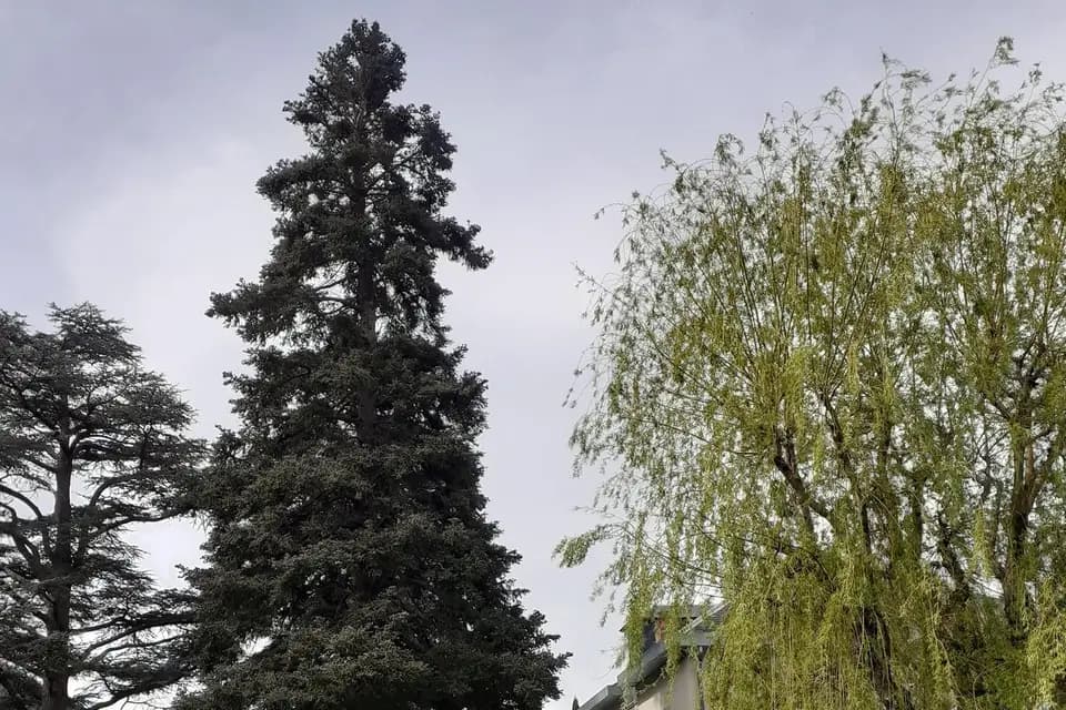 Zicomobile — photo 8