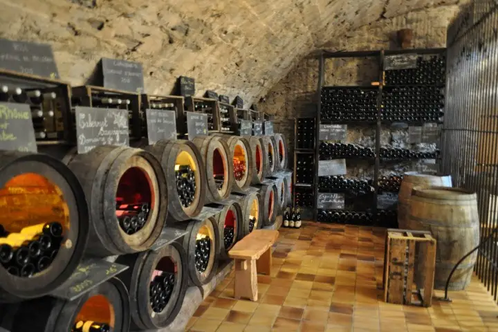 Château de la Groulais — photo 6