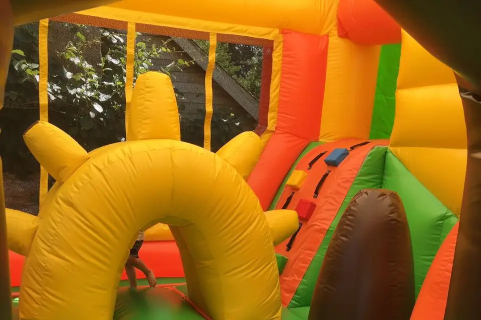 Ozlaloc Animation — photo 2