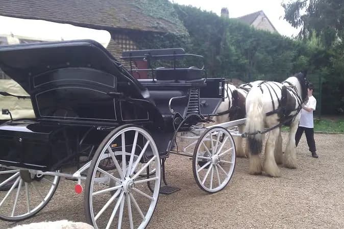 Les Calèches de Saint-Cyr — photo 1