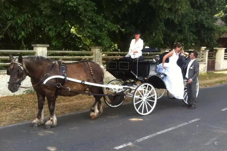 Les Calèches de Saint-Cyr — photo 2