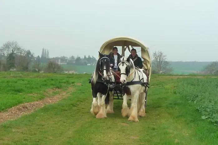 Les Calèches de Saint-Cyr — photo 3
