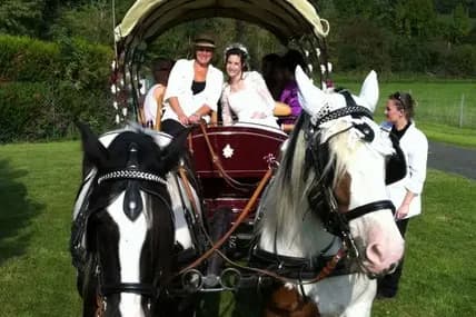 Les Calèches de Saint-Cyr — photo 4