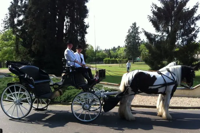 Les Calèches de Saint-Cyr — photo 5
