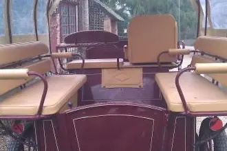 Les Calèches de Saint-Cyr — photo 6