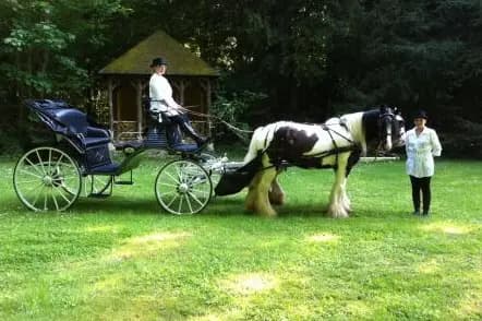 Les Calèches de Saint-Cyr — photo 7