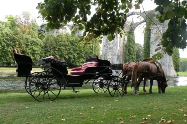 Les Calèches de Saint-Cyr — photo 8