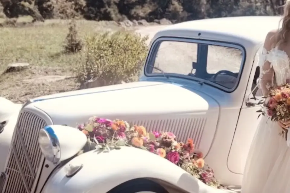 Prestige Sainte Baume — photo 7