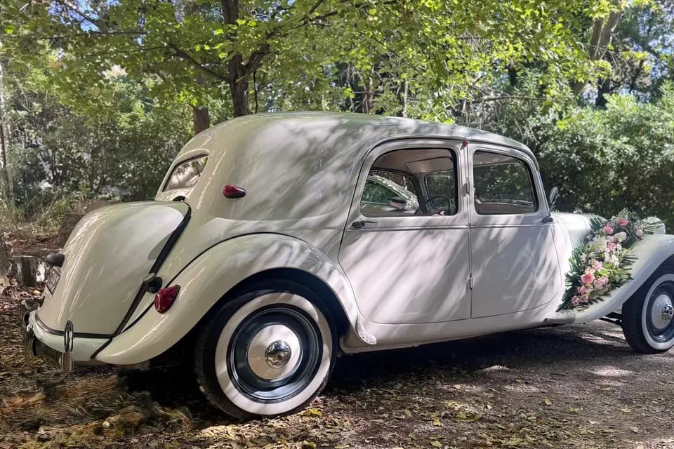 Prestige Sainte Baume — photo 5