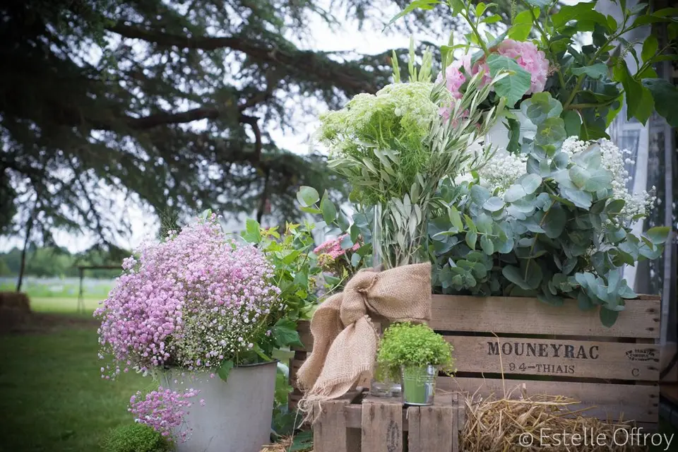 1001 Bulles — photo 1