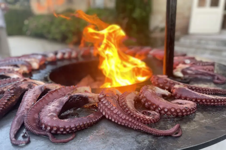 Ibesurex — photo 3