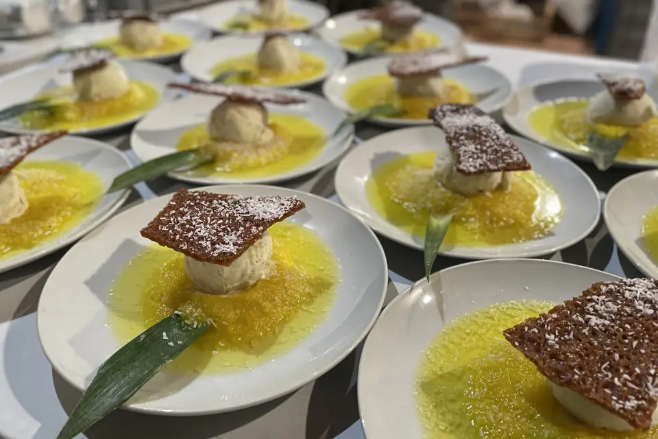 Ibesurex — photo 6