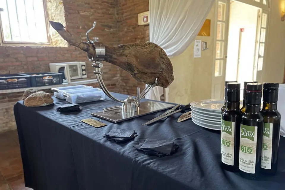 Ibesurex — photo 8