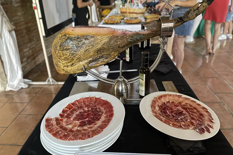 Ibesurex — photo 1