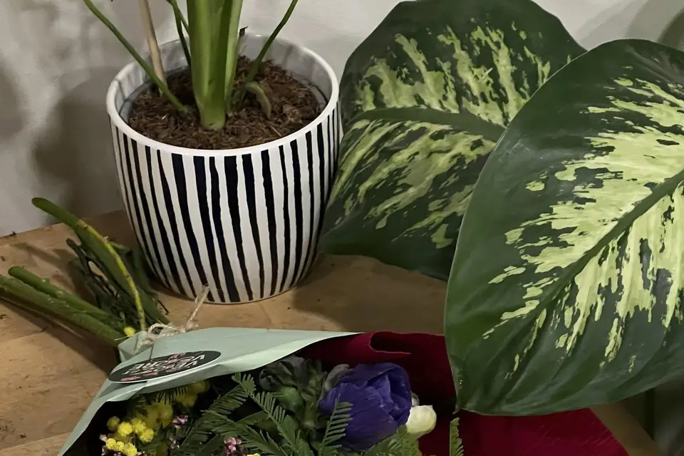 Vert et Verre — photo 8