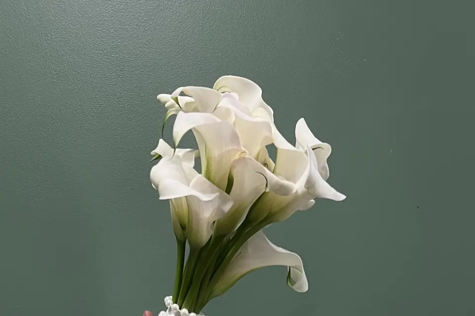 Vert et Verre — photo 2