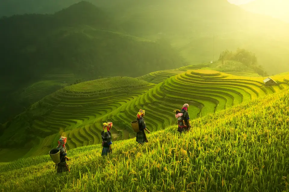 Tui Vitré — photo 2