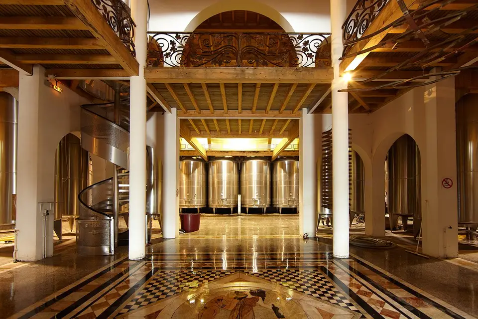 Château Montus — photo 4