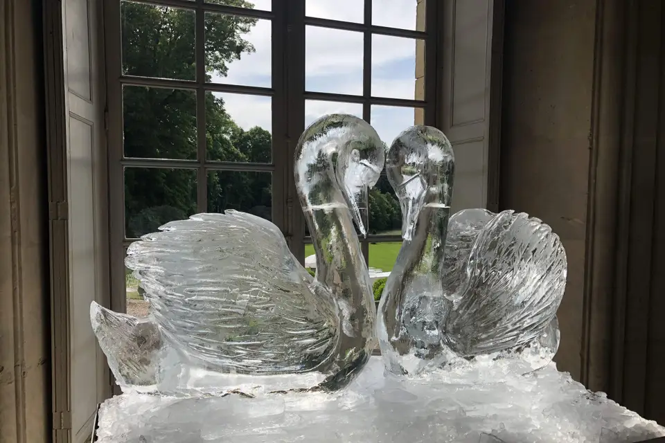 Ice & Art — photo 8