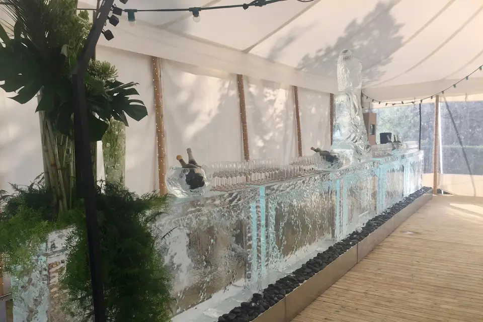 Ice & Art — photo 5