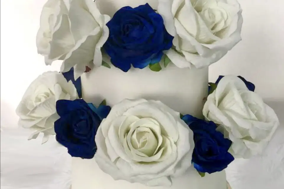 Intensika — photo 8