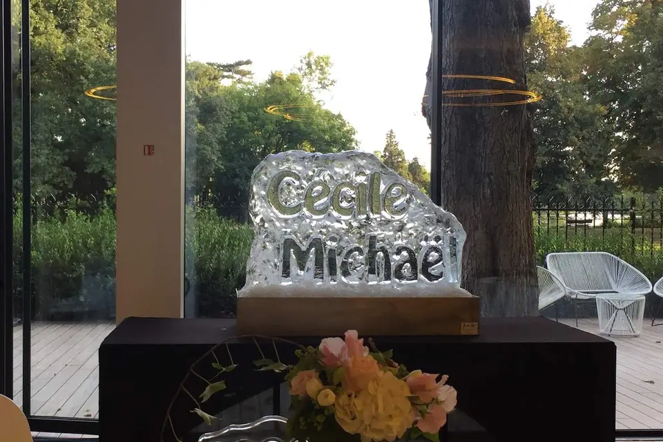 Ice & Art — photo 7