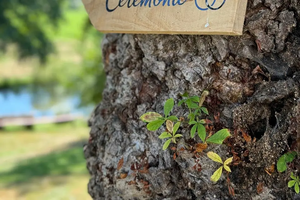 Moulin de Boudelogne — photo 4