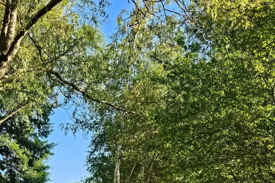 Moulin de Boudelogne — photo 1