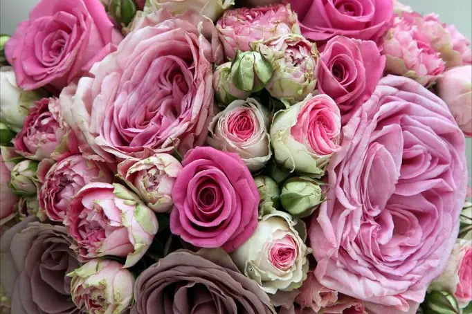 A Fleur de Pot - Fleuriste, Décorateur — photo 8