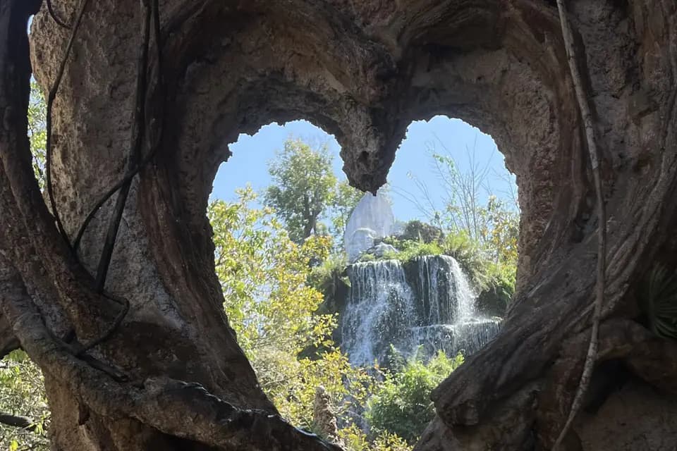 La Tribu de Fanny — photo 5