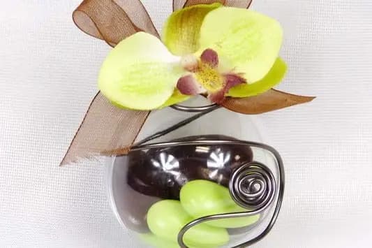 Dragées MD — photo 6