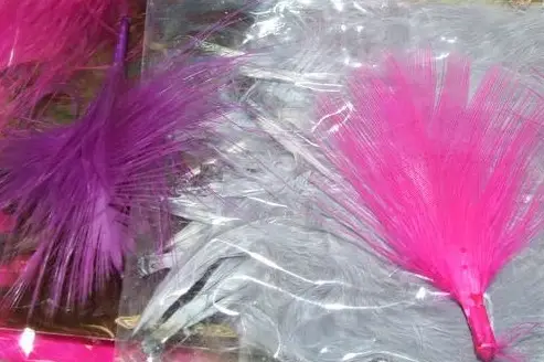 Dragées MD — photo 7