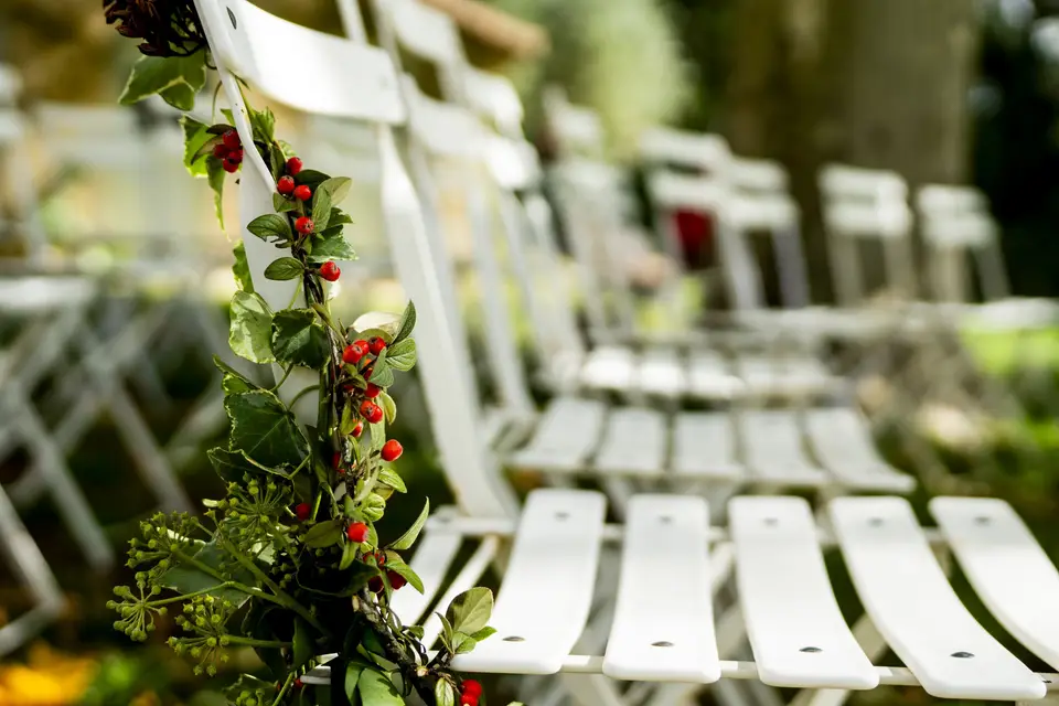 Felcii Records — photo 6