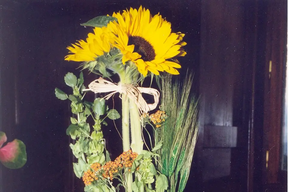 Amorce wedding planner — photo 4