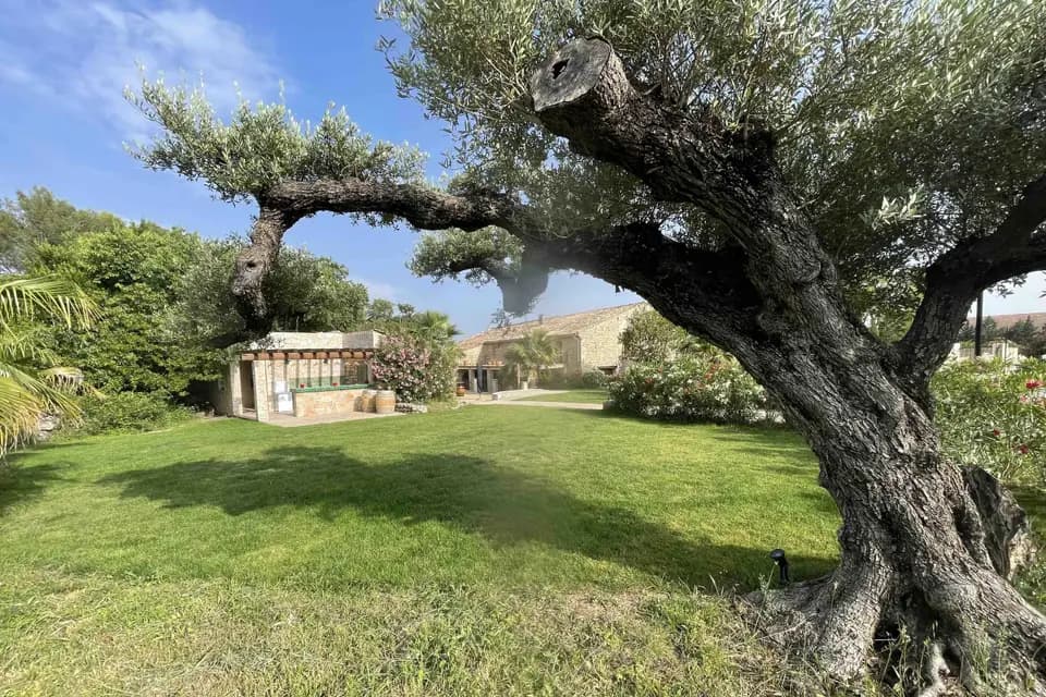 Le Mas de Pi — photo 1