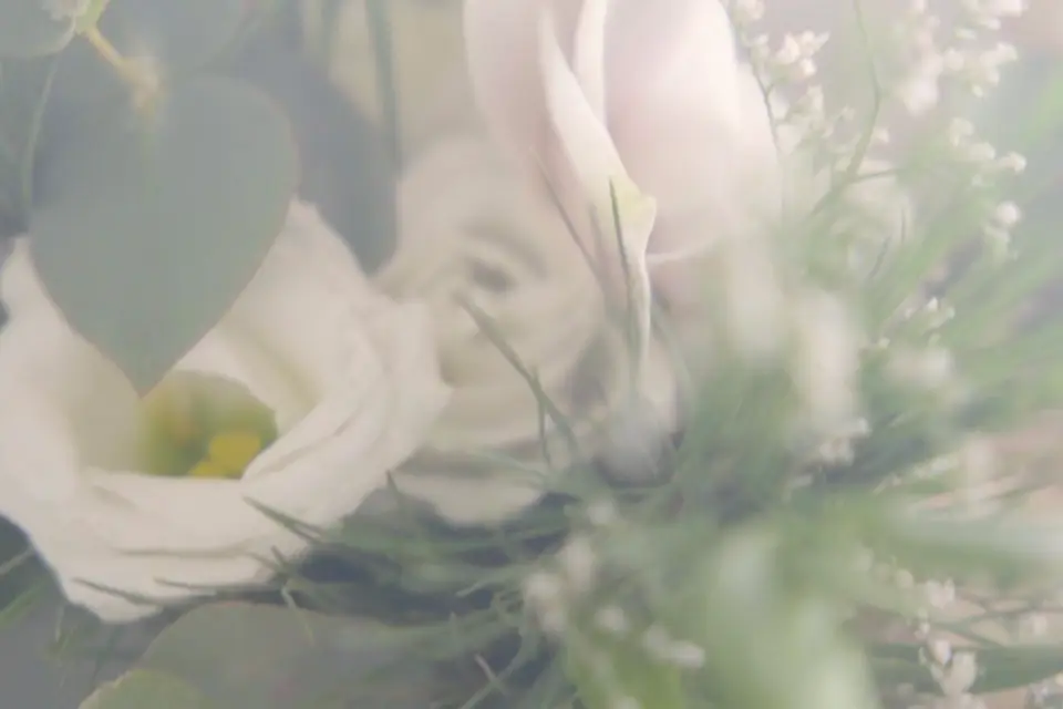 Pierre-Antoine Pasqualini — photo 7