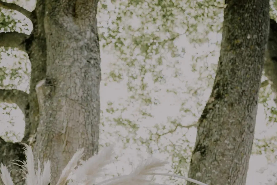 Un Samedi d'Avril — photo 5