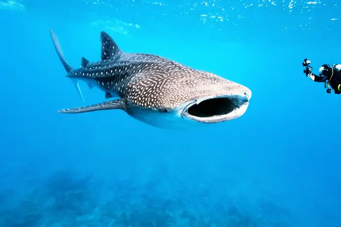 Latinexperience Voyages — photo 2