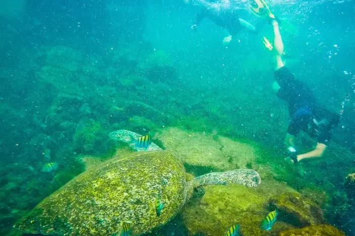 Latinexperience Voyages — photo 4