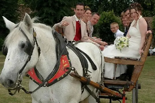 Idole Promenade — photo 1