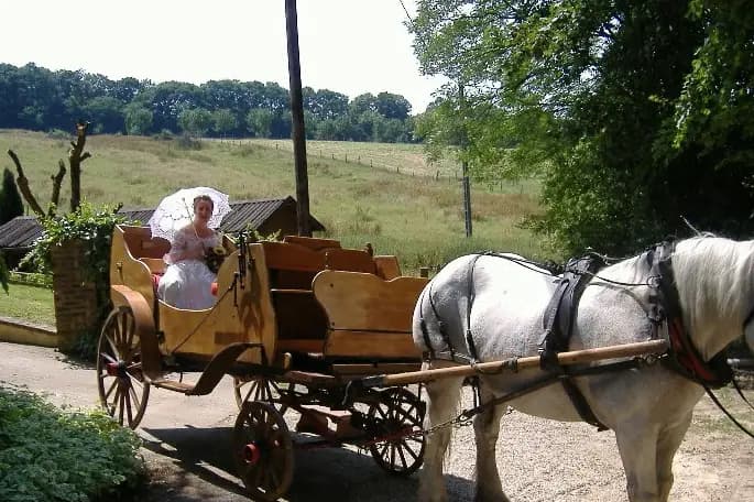 Idole Promenade — photo 2