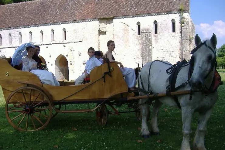 Idole Promenade — photo 4