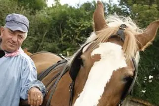 Idole Promenade — photo 6