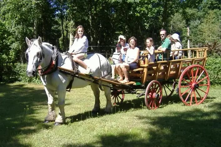 Idole Promenade — photo 7