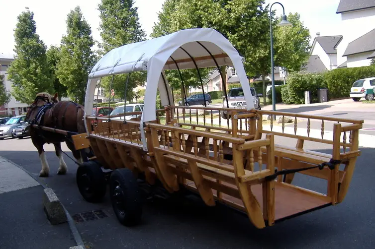 Idole Promenade — photo 8