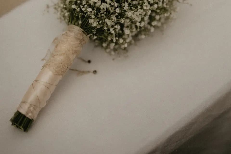 Dire Oui — photo 7