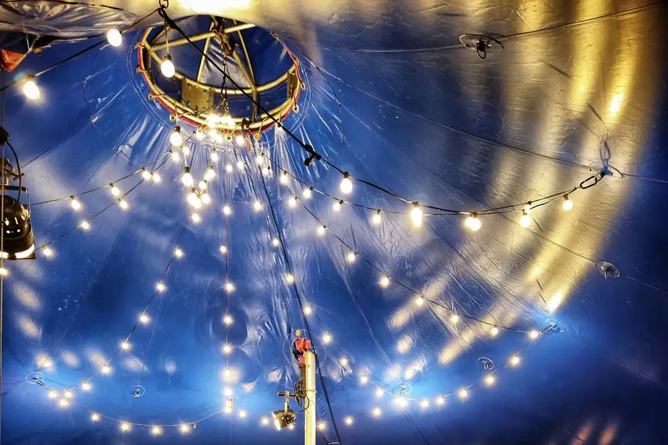 Les Oiseaux — photo 8