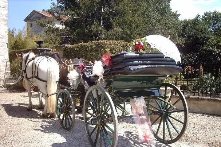 Gardoise d'Attelage — photo 1