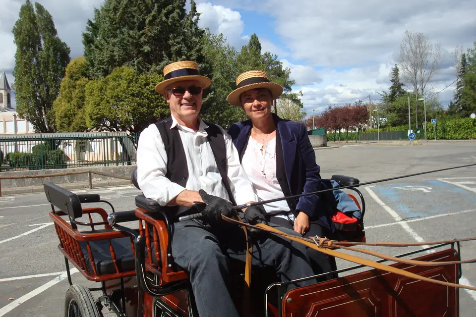 Gardoise d'Attelage — photo 8